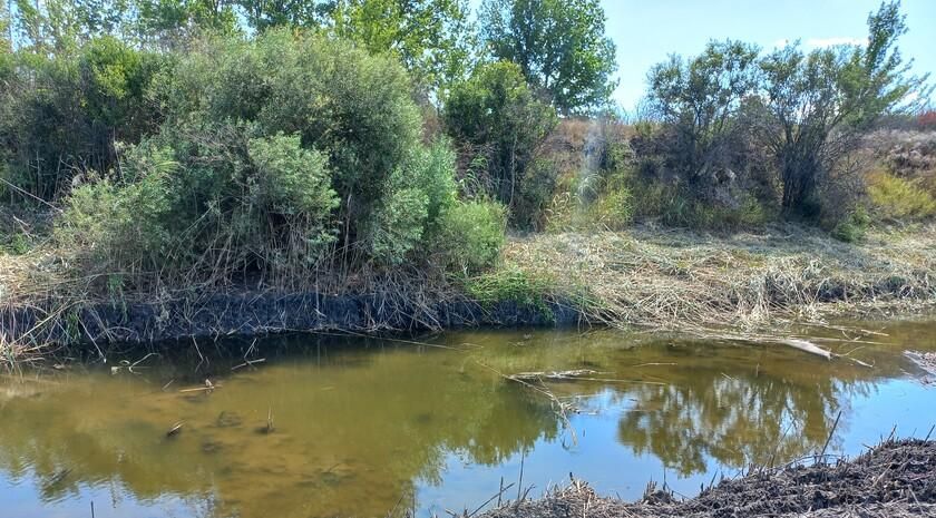 Расчистка русла реки Берда началась в Бердянском районе