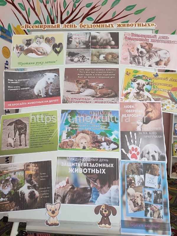 В библиотеке ДК "Горняк" в преддверии Международного дня бездомных животных, который в этом году отмечается 16 августа, была организована книжно-иллюстративная выставка "Мир животных глазами В. Бианки, М. Пришвина, К....