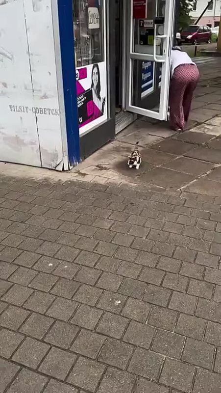� ��� � ����� ������� ����