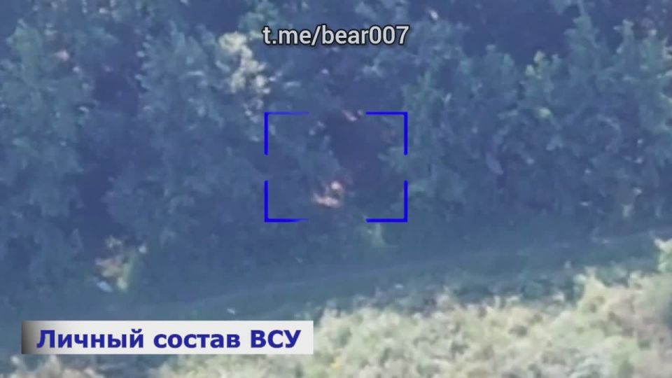 Эксклюзивные кадры уничтожения украинских боевиков