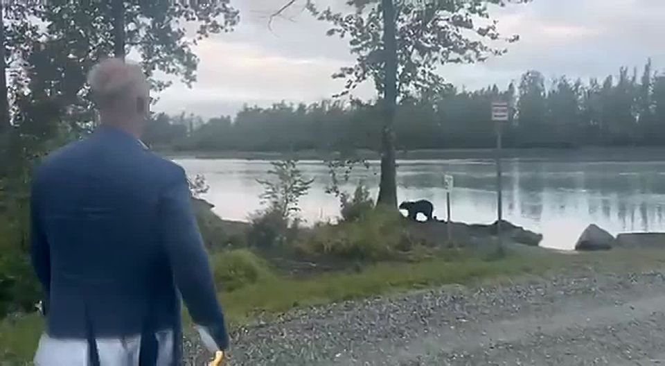 "Хороший знак": Кирилл Дмитриев встретил медведя на Аляске перед переговорами Владимира Путина и Дональда Трампа