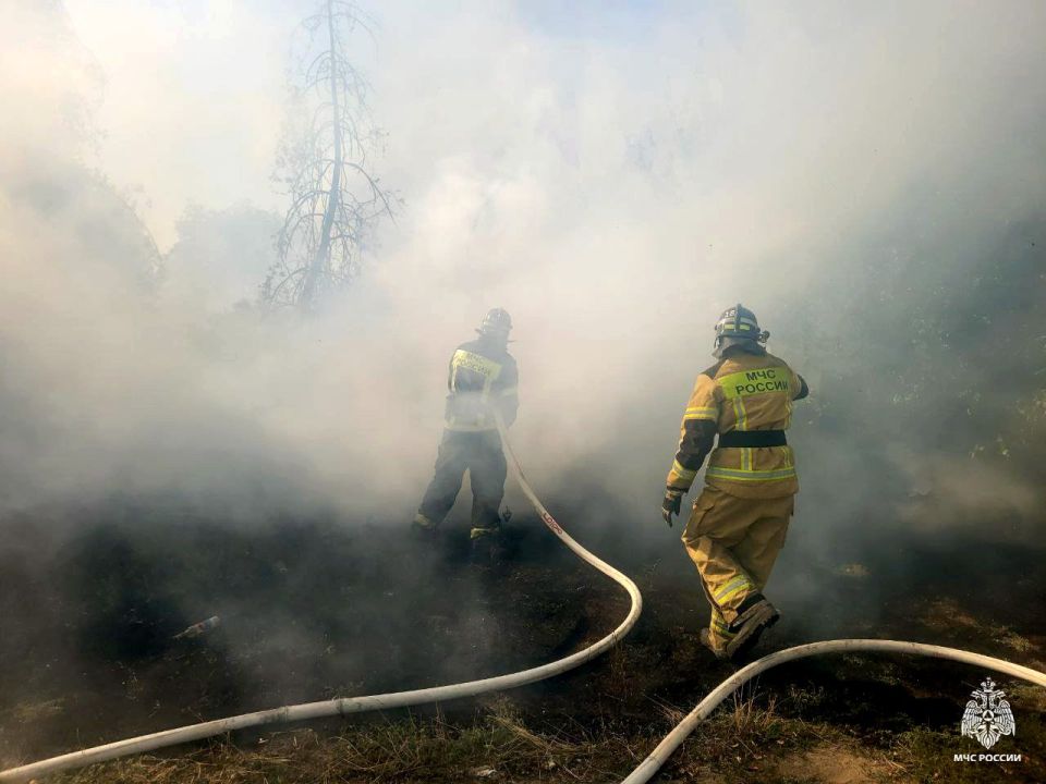 Оперативная информация за сутки