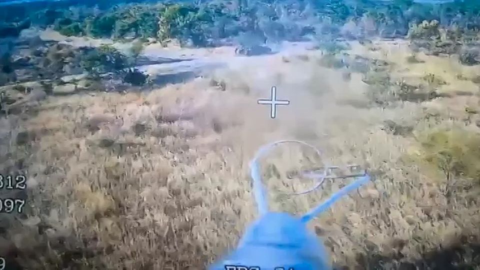 ������ ��� ��������� ���� ���������