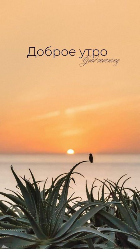 Доброе утро. А вы знали, что сегодня