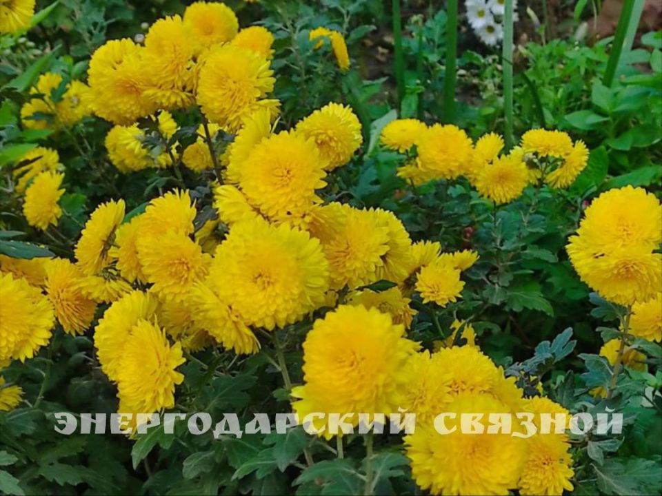 Разница между хорошим и плохим днем зависит от вашей точки зрения, ведь проблемы – это также возможности