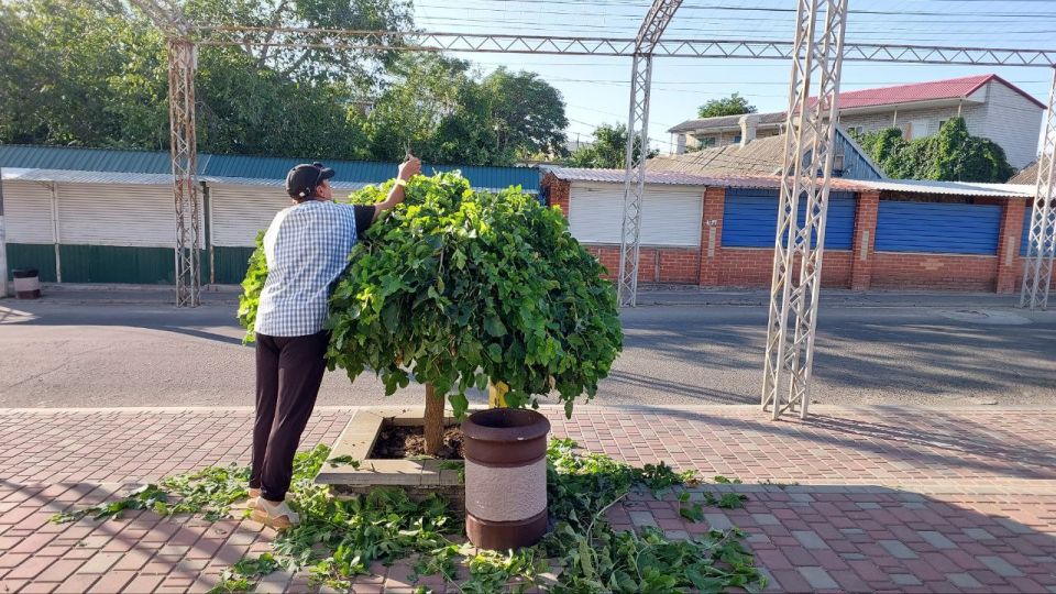 В Кирилловке активно идёт благоустройство территорий
