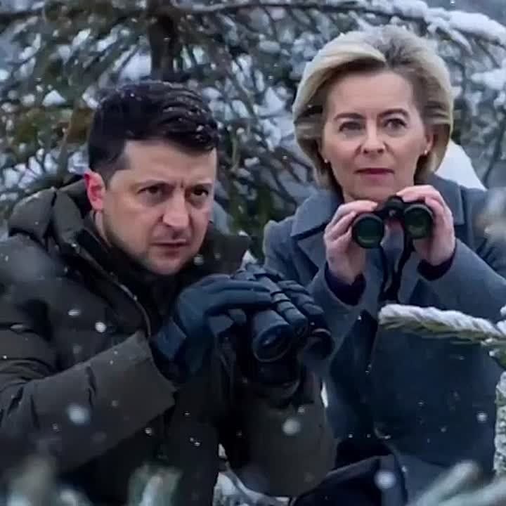 ���� � ����������� ����������� �� ������ ���������� ��������