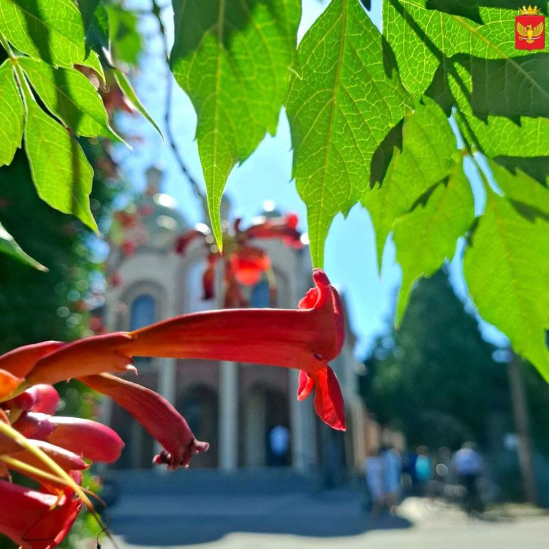 14 августа в храмах города Приморск проходили праздничные богослужения - в этот день православные христиане чествуют Изнесение Честных Древ Животворящего Креста Господня