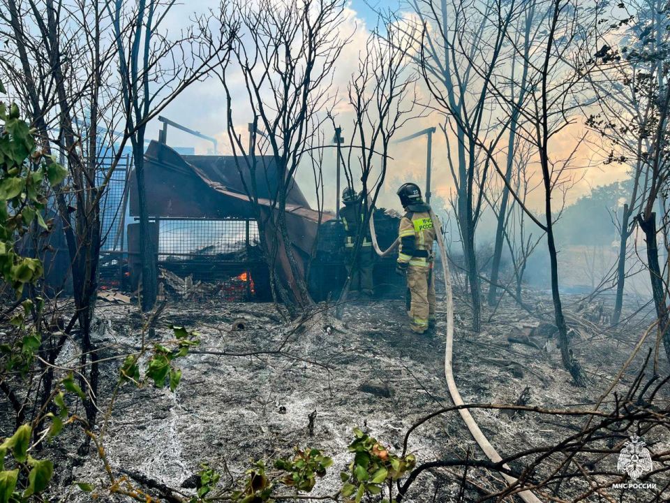В Пологовском муниципальном округе спасатели МЧС России оперативно ликвидировали пожар
