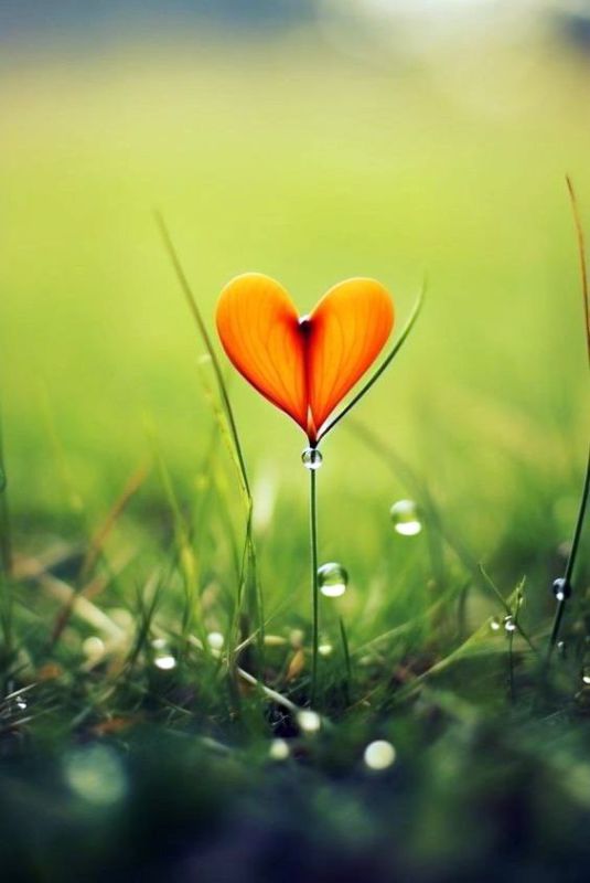 Лёгкого утра вам!