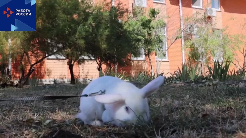 Заслуженный отдых - время для новых идей!