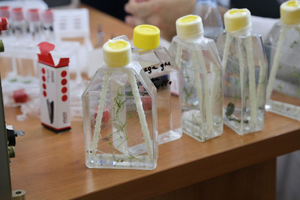 Роскосмос подтвердил запуск биологического спутника «Бион-М» №2 20 августа