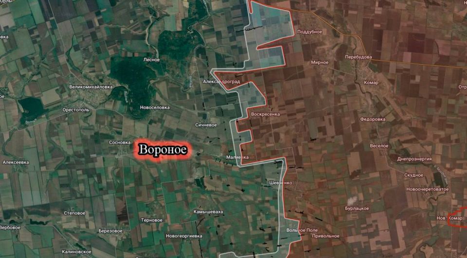 ВС РФ завершили освобождение населенного пункта Вороное в Днепропетровской области и Колодези в ДНР, сообщило Минобороны