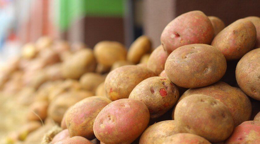 Ученые назвали самый опасный вид картофеля для диабета