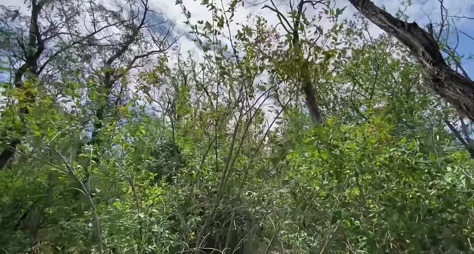 Министерство природы, экологии и недропользования Запорожской области приняло участие во встрече с бизнес-делегацией из Тюменской области