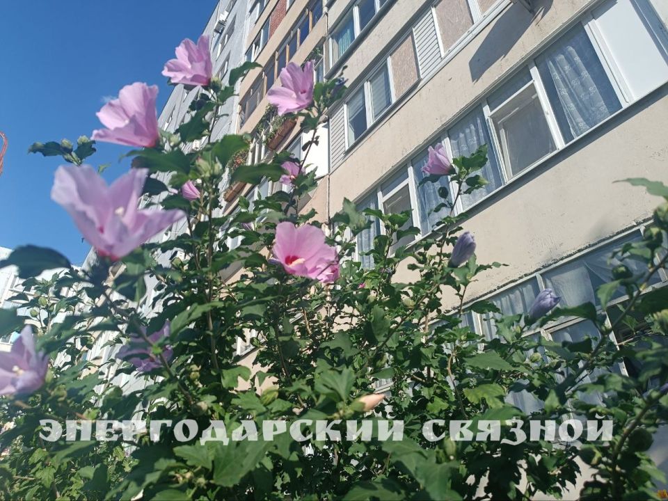 Доброго, ясного субботнего утра, друзья! Пусть ласковые лучи аккуратно пробудят вас ото сна, а аромат свежего кофе или чая добавят уюта и счастья