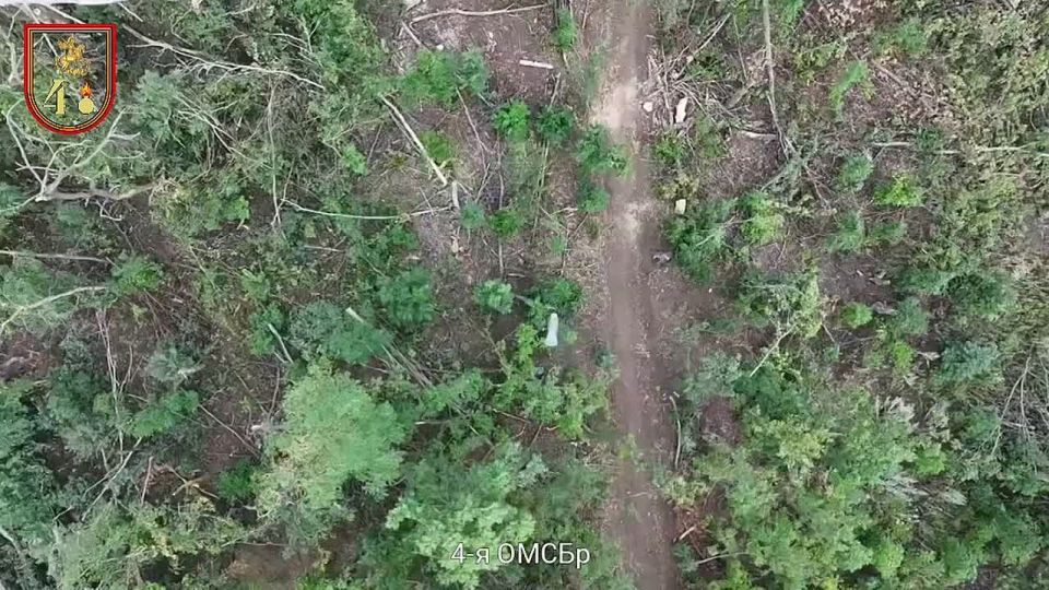 ����������� ������������ ������������