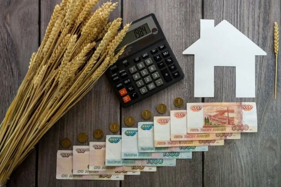 Андрей Сигута: Запорожские аграрии – лидеры по привлечению господдержки