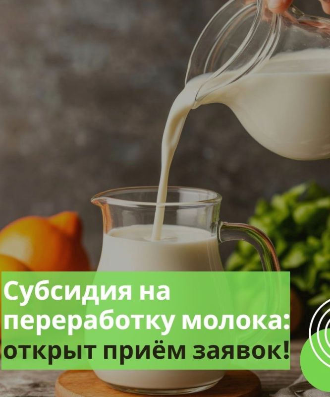 Стартовал приём заявок на субсидии по переработке молока