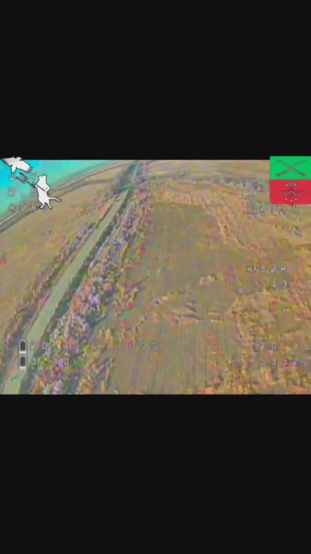 ТОЛЬКО ЧТО: НОВЫЙ РАЗГРОМ FPV РОЯ ОТ РЭБ 135 Ш.П!