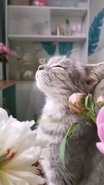 ������� ���� , ������� ������������!