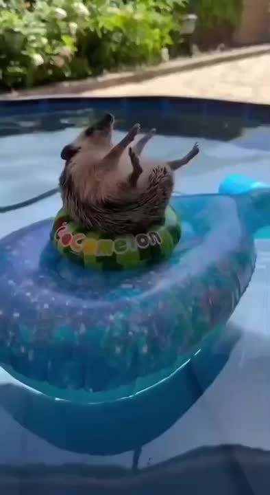 �������� � ��� ����������� ������ � ������� ������