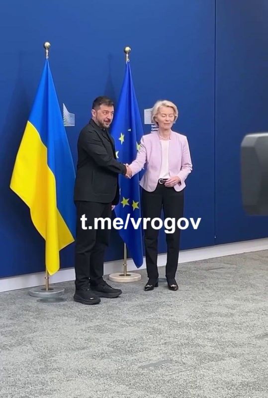 Владимир Рогов: Врач и пациент. ЗеФюрер перед завтрашними переговорами с Трампом и своей группой поддержки из ЕС-овских чиновников прибыл в Брюссель