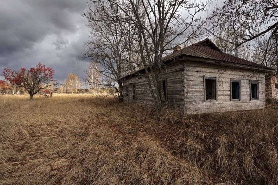 Анна Хорошун: С 1 сентября в России вводятся критерии для изъятия бесхозных земель