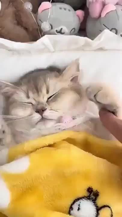 ������ ����. ����������� � ��� ������ ����, �� ������� ����� �������� ����� ����, ����� � ��������� �������