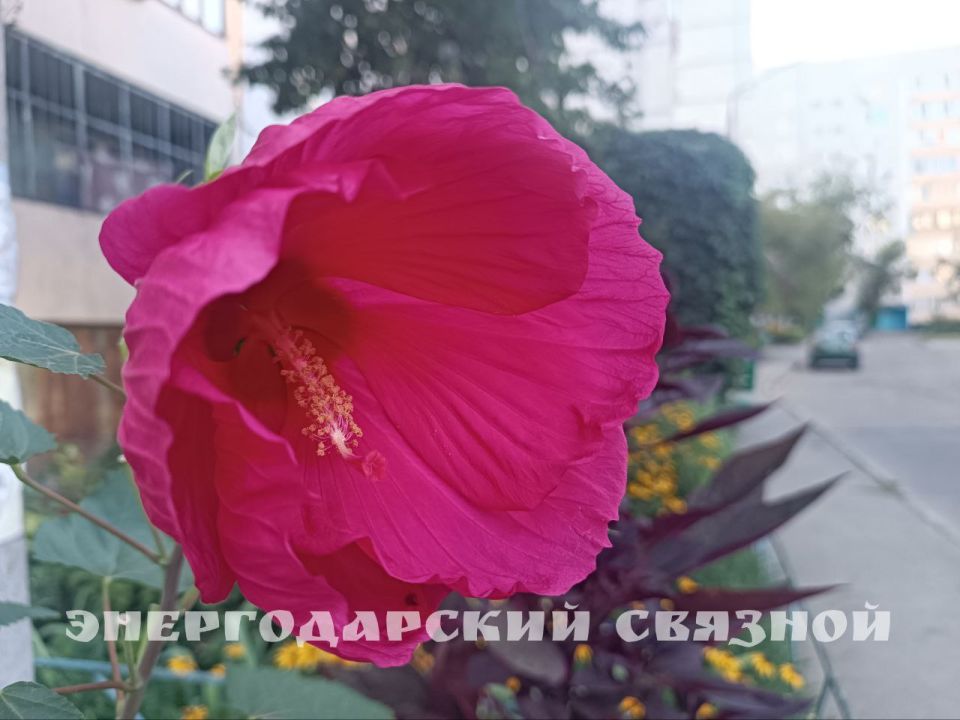 � ������ ���� ������, � ������� ������ ������, � ������� �������� �����������, � �������������!