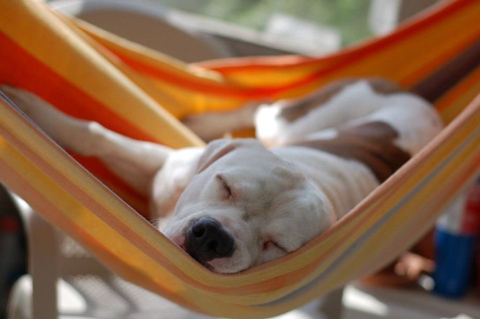 Рабочий понедельник завершен! Идем по домам: кто отдыхать, а кто заниматься домашними делами