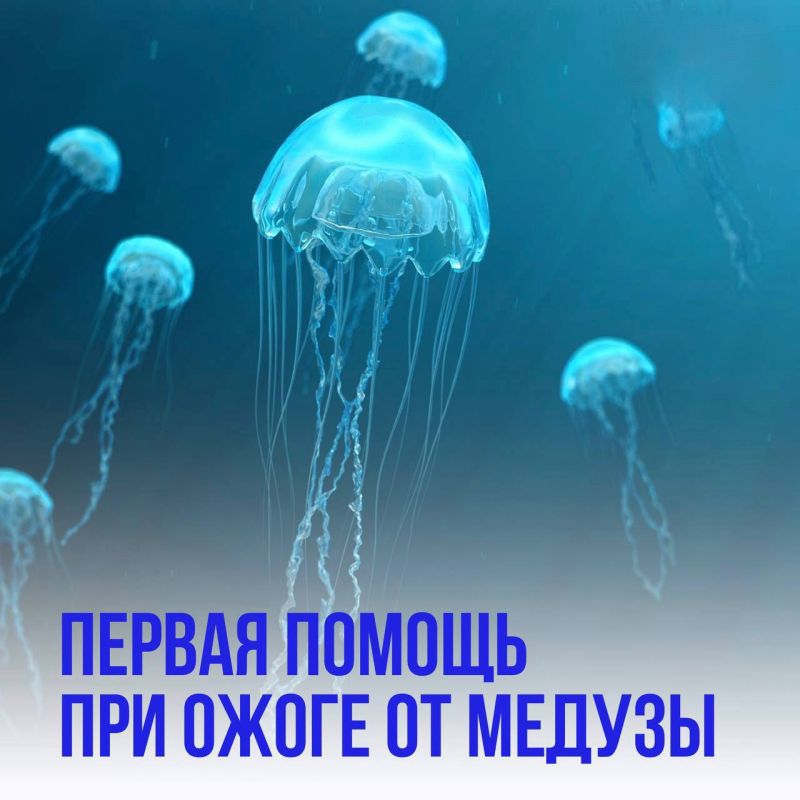 ������ ������ ��� ����� �� ������: