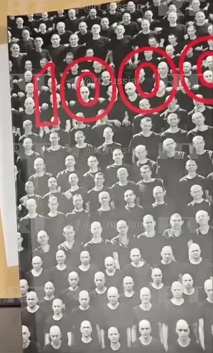 Владимир Рогов: Путин лично передал Трампу книгу с фото 1000 пленных ВСУшников, от которых отказался ЗеРейх