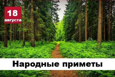 Народные приметы 18 августа