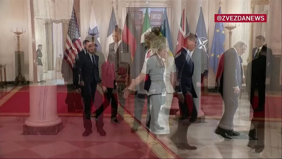 После совместной фоточки Трамп, Зеленский и европейские лидеры отправились на совместную встречу