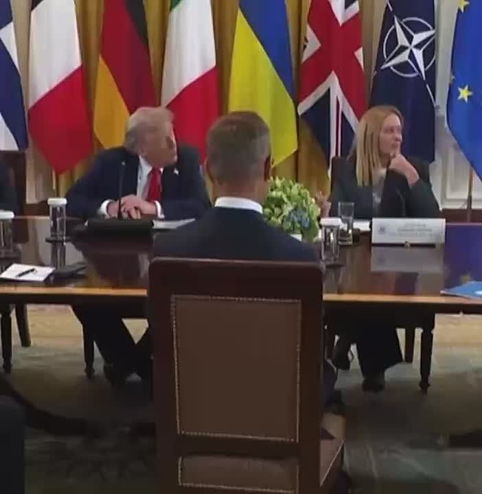 На встрече Трампа с группой поддержки Зеленского никто не нервничал, особенно премьер Италии Джорджа Мелони