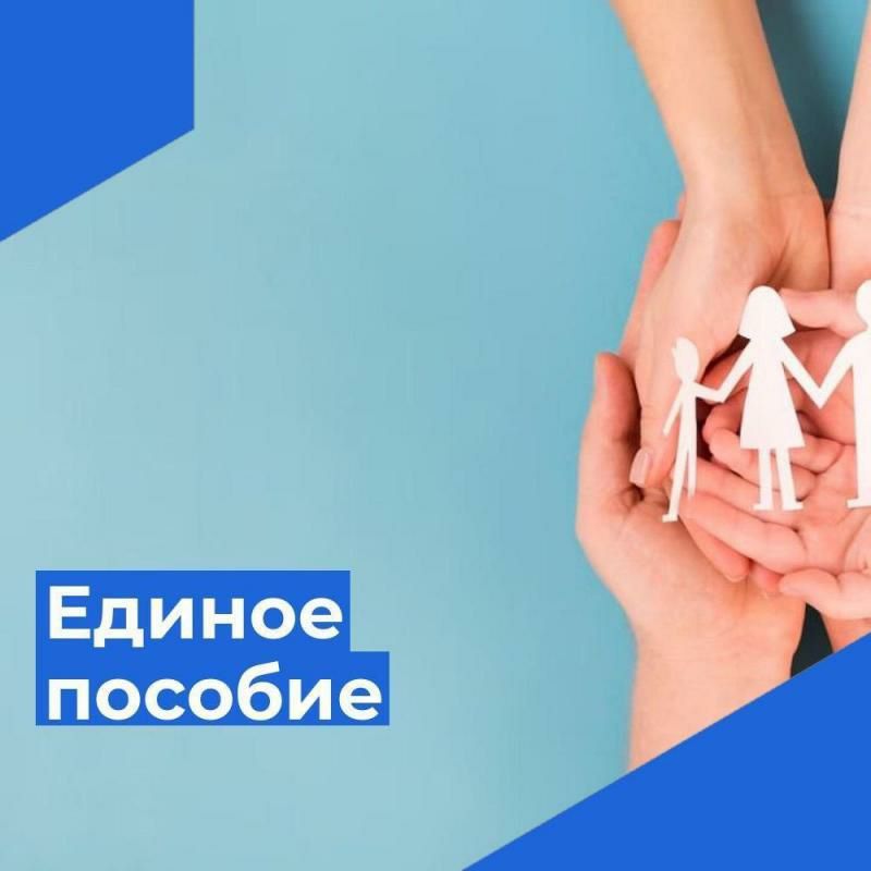 Анна Хорошун: О времени подачи заявления на продление единого пособия в Запорожской области