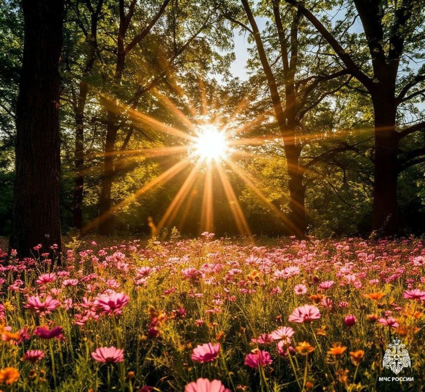 Чрезвычайная пожароопасность