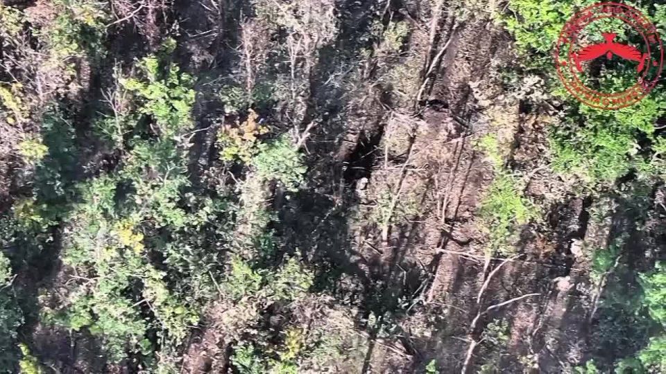 Работаем по блиндажам ВСУ. ЗАПОРОЖСКИЙ ФРОНТ