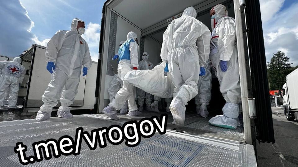 Владимир Рогов: Россия передала ЗеРейху 1000 трупов солдат ВСУ