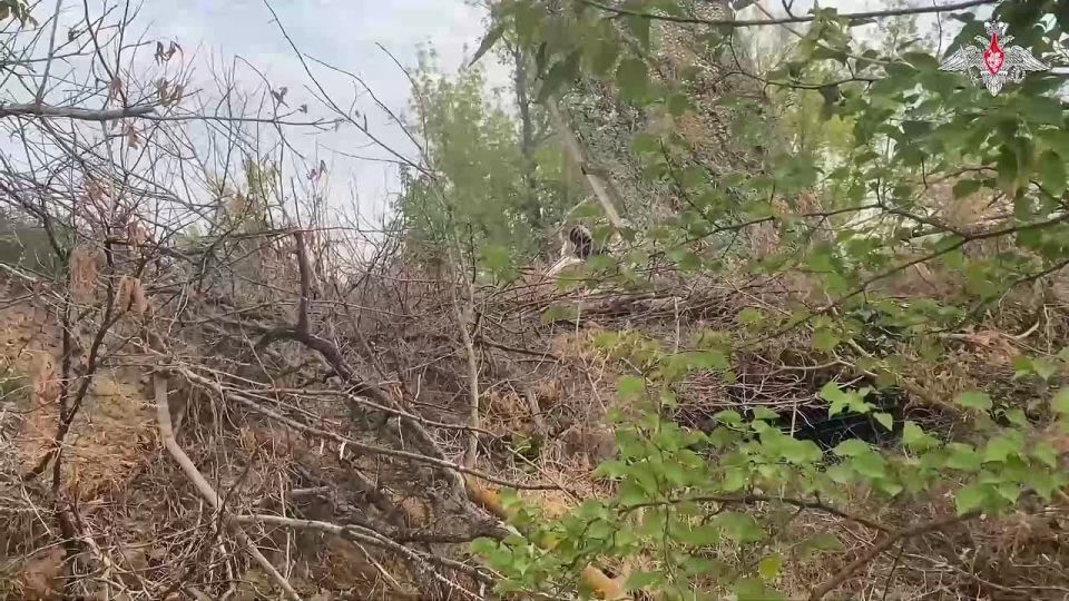 ������������ ������ �����. �������������� �� ������� 49-� ����� �������� ���� ���������������� ���������� �� ������ ������ ������
