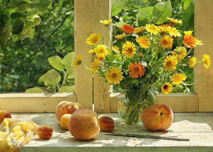 Доброе утро. А вы знали, что сегодня