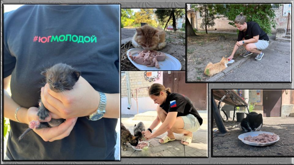 Сегодня — День добрых дел!