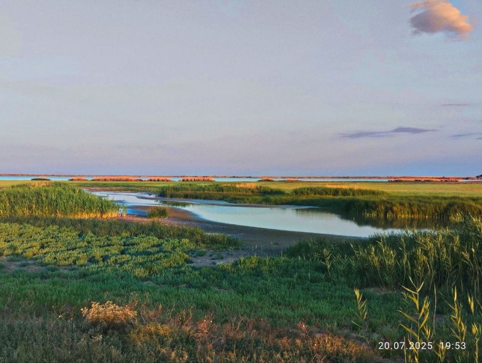     (     )   ,   &quot;  -  &quot;