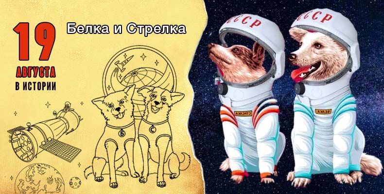 это было сегодня.... Белка и Стрелка — легендарные героини космоса, совершившие исторический полет 19 августа 1960 года на борту советского корабля «Спутник-5»