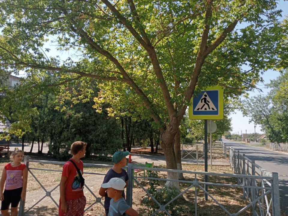 Владимировский СДК провел профилактическую минутка «Мы с дорогою друзья» — это короткое, но насыщенное мероприятие, направленное на повышение осведомленности ребят о важности соблюдения правил дорожного движения и...