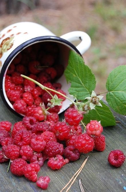 Замечательного утра!