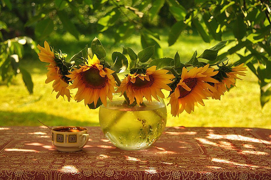 Доброе утро. А вы знали, что сегодня