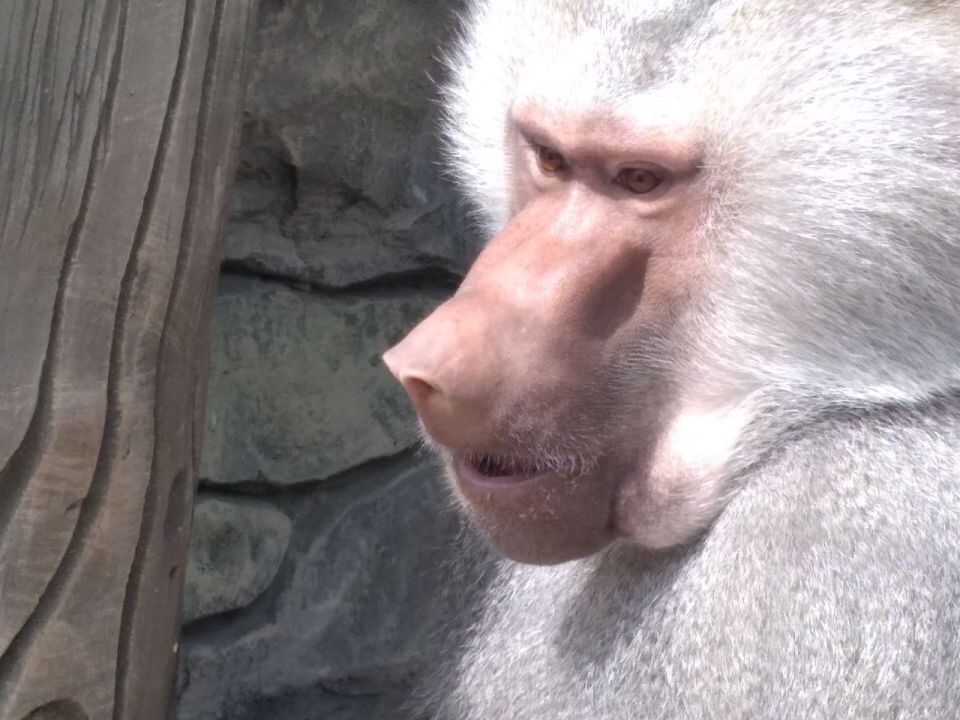 !   !   .   ,    ,    !       ,    70  , ...