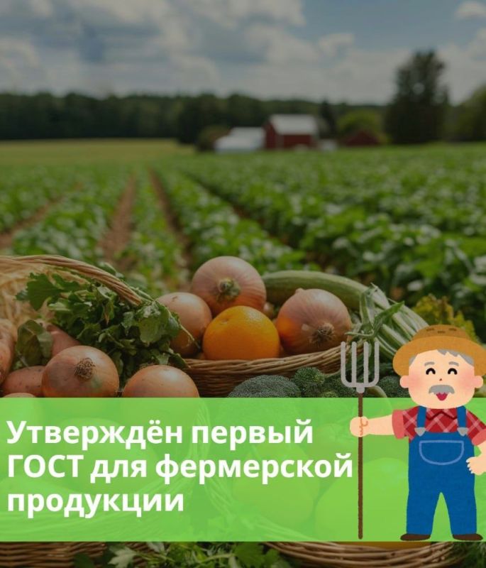 � ������ �������� ������ ���� ��� ���������� ���������